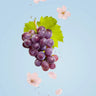 RELX Malaysia WAKA SoPro PA10000 Sakura Grape Flavour 🍇